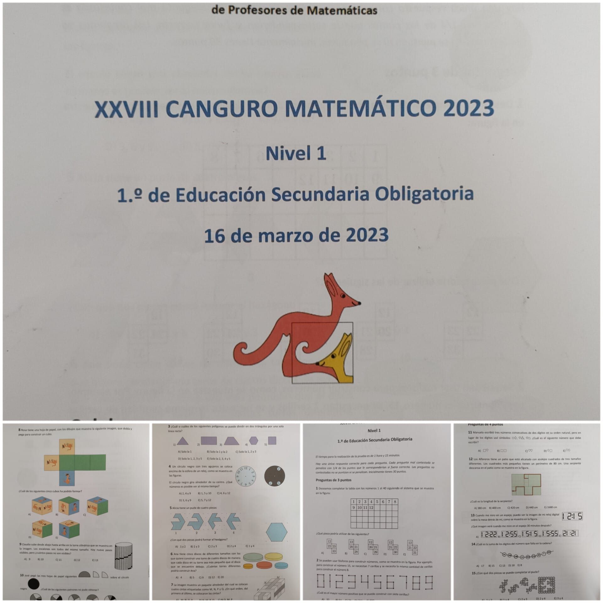 canguro12
