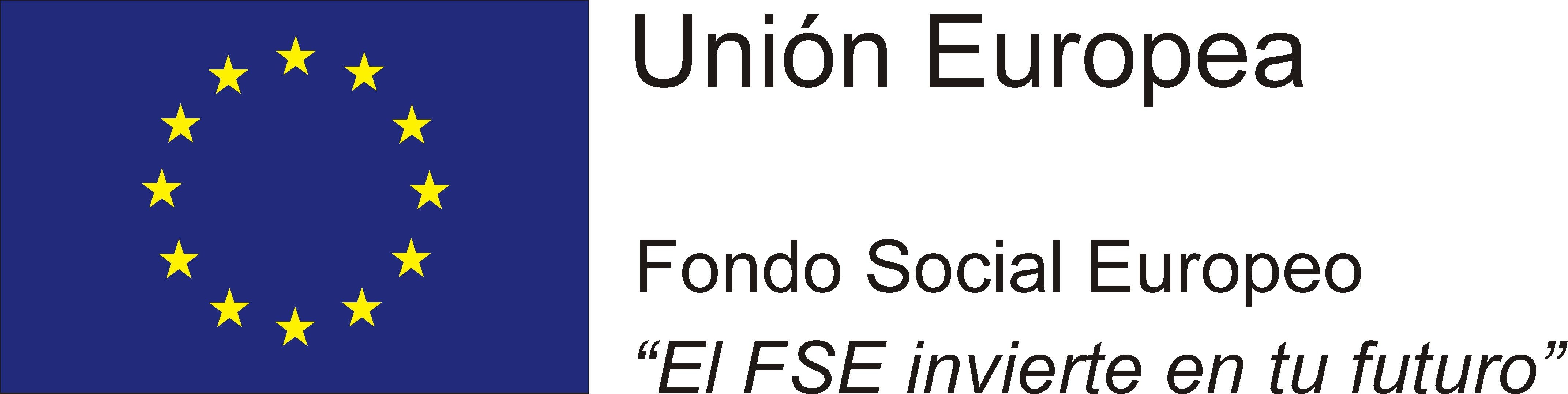 FSE logo